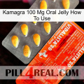 Kamagra 100 Mg Oral Jelly How To Use new01